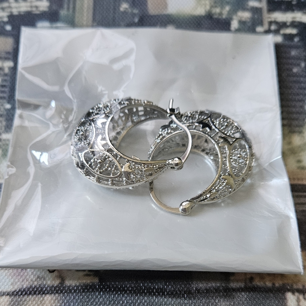 Hoop Earrings NIP